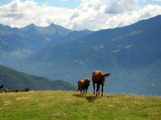 VacanzeNatura20060827