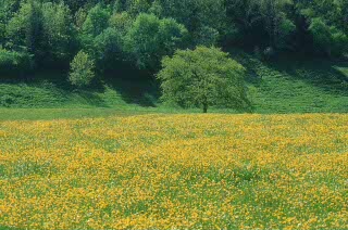 VacanzeNatura Primavera